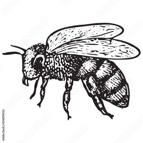 A finely detailed black-and-white illustration of a bee, with wings and stripes, symbolizing pollination and honey production in a traditional apiculture farm environment