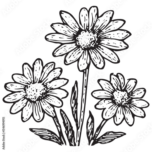 A charming black-and-white illustration of daisies , depicting pollination in a rustic apiculture scene, highlighting the symbiotic relationship between flowers and bees