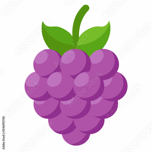 Boysenberry: Fresh Fruit

