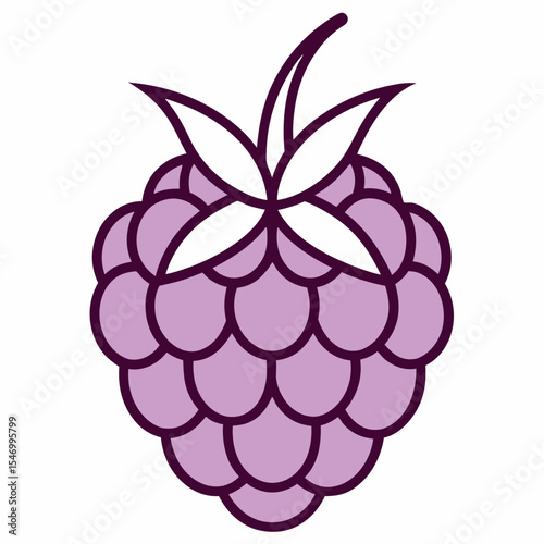 Boysenberry  outline on white background
