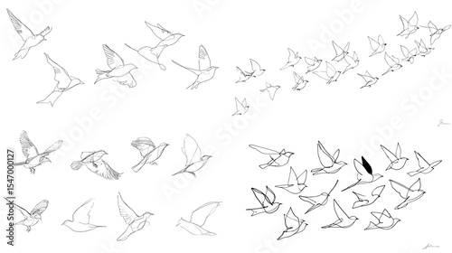 Hand-drawn sketch illustration of birds flying in formation. Ideal for nature artwork, bird migration studies, motion reference, freedom themes, and wildlife educational visuals.


