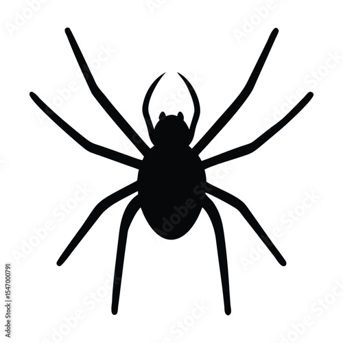 A black silhouette of a spider with a round body