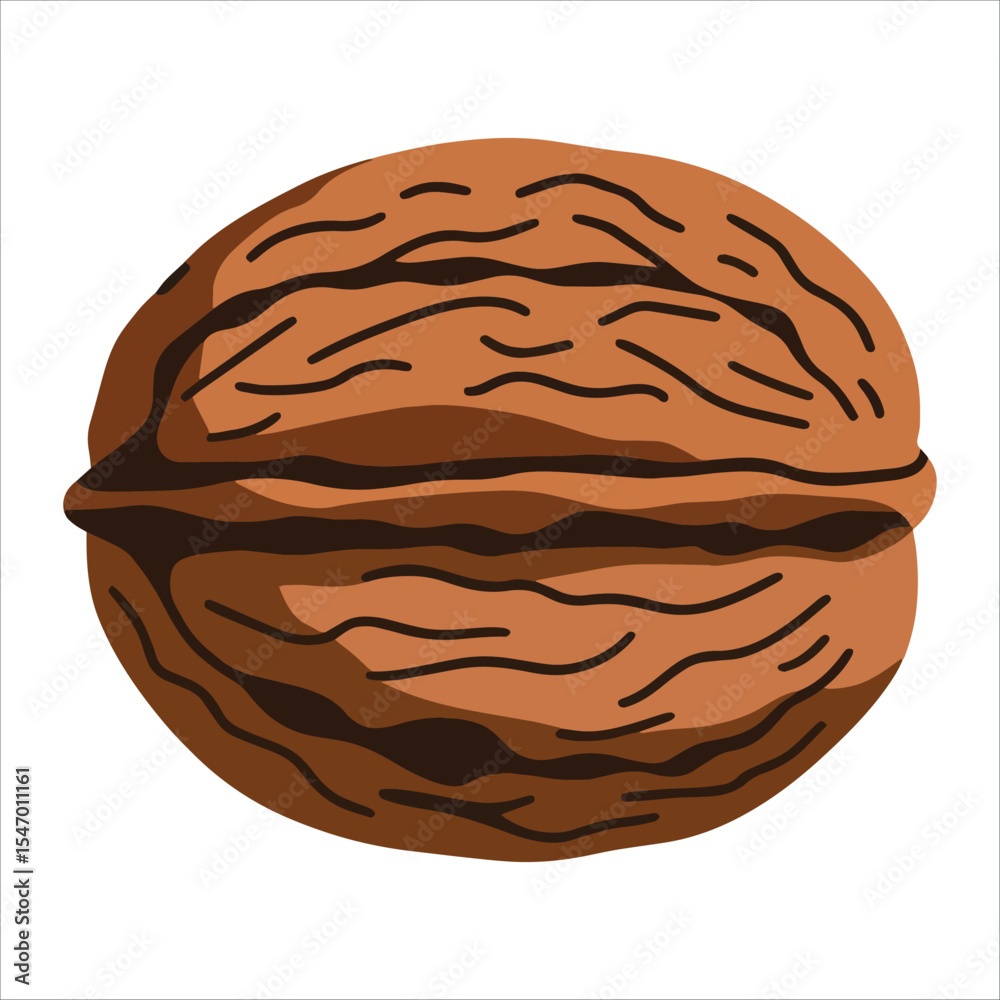 Whole walnut with shell vector illustration cartoon flat design. Isolated on white background, ideal for food blogs and organic product labels.
