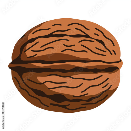 Whole walnut with shell vector illustration cartoon flat design. Isolated on white background, ideal for food blogs and organic product labels.
