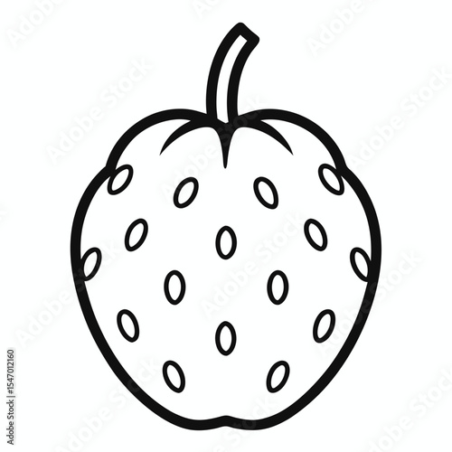 Cherimoya outline on white background