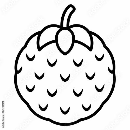 Cherimoya outline on white background