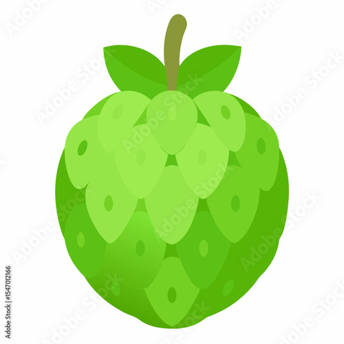 Cherimoya: Tropical Fruit

