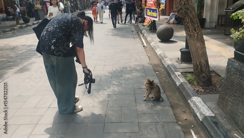 Foto cat in pedestrian in Bandung City