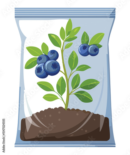 Blueberry Plant in Clear Plastic Bag Soil