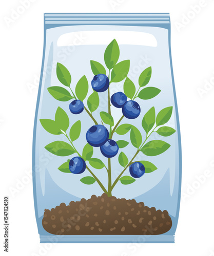 Blueberry Bush in Plastic Bag on Stones