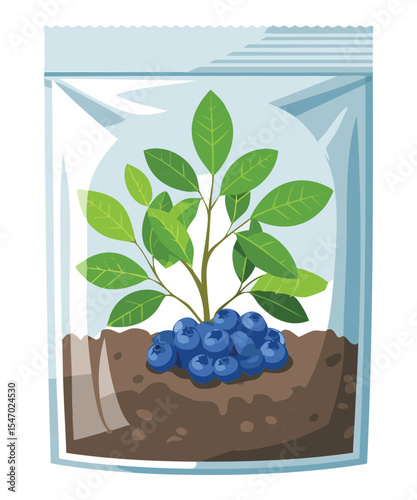 Blueberry Plant in Clear Plastic Package