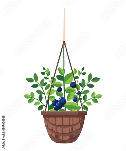 Simple Hanging Basket with Blueberry Plant