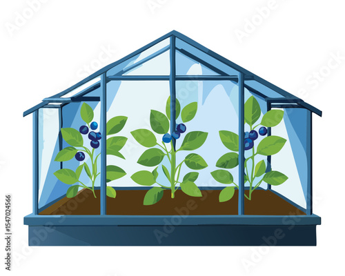 Blueberry Bushes Thriving in Large Greenhouse