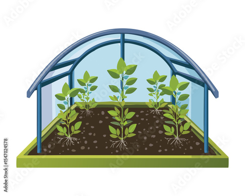 Blueberry Seedlings in Greenhouse Soil Bed