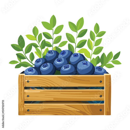 Blueberry Bush with Fruit in Wooden Crate