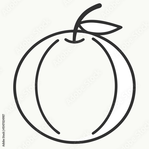 Crenshaw Melon outline on white background