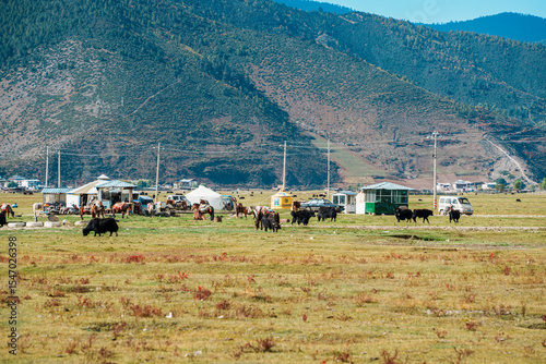 Pastoral Landscape with Yaks Grazing by a Village in Shangri-la
