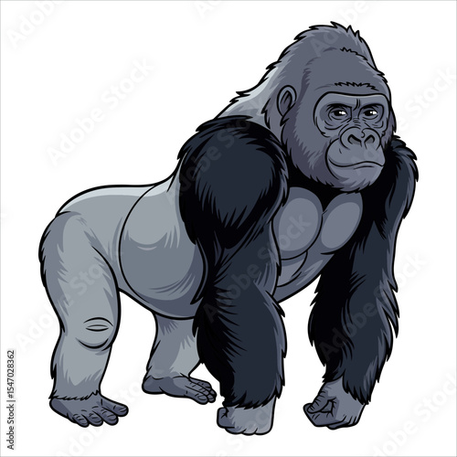 Gorilla illustration on white background. Powerful primate vector for jungle and conservation themes.