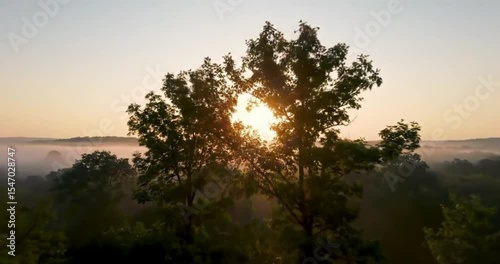 Fog rolling over hilltop forest at dawn, slow cinematic movement 
