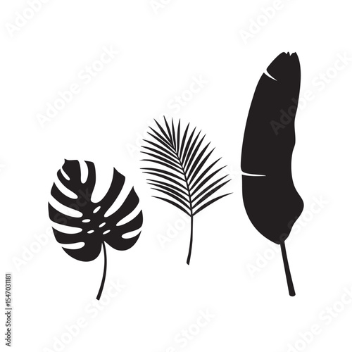 Silhouette of three tropical leaves – monstera, palm, and banana – each styled in unique curved positions