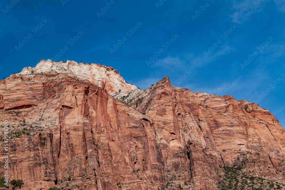 Fototapeta premium Sedimentary rocks. bottom of the Zion-Mt. Carmel Highway. Zion National Park, Utah