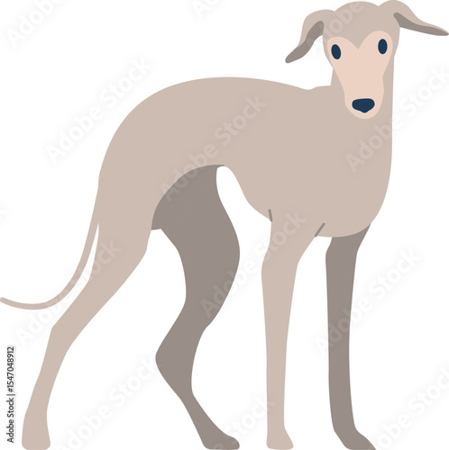 Dog hound hairless breed vector illustration
