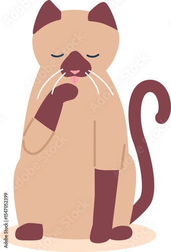 Cute cat washing licking paw
