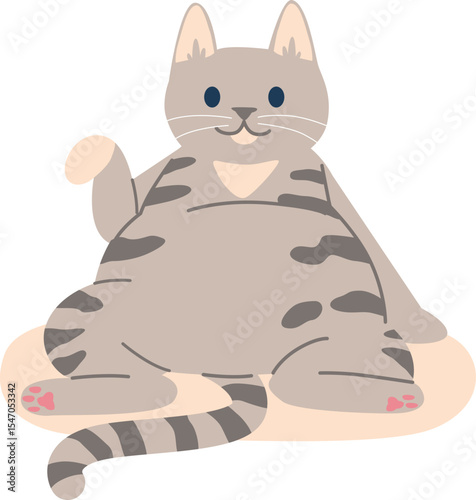 Fatty cute cat on mat