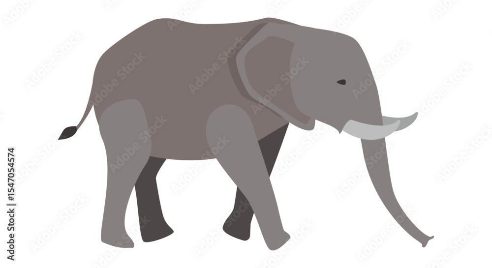 Obraz premium 코끼리