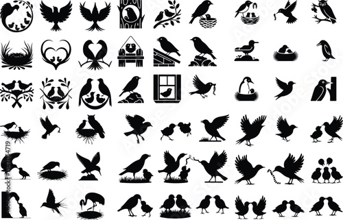 Mother Bird with Baby Chicks Vector Silhouette Set Bird Feeding Chicks Silhouette Set – Nature Care Icon Collection