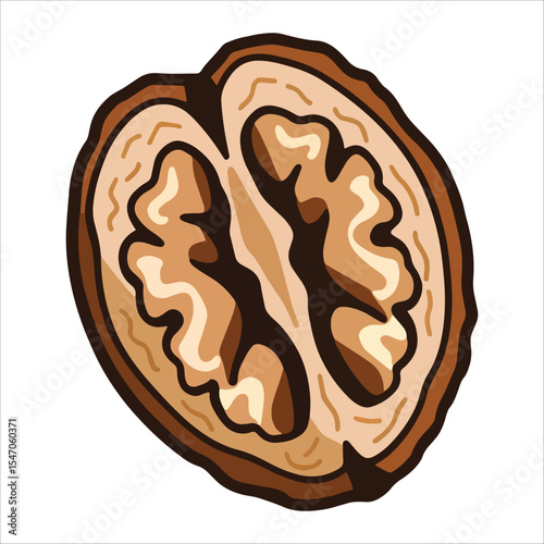Half walnut with shell vector illustration cartoon flat design. Isolated on white background, ideal for food blogs and organic product labels.
