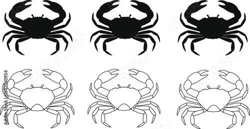 Crab silhouette and outline illustration set, marine animal vector, seafood graphic art, ocean creature icon, sea life design, crustacean clipart for print, digital, and decor