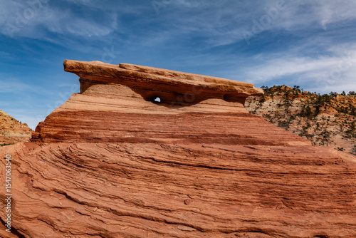 Zion National Park, Utah. Navajo Sandstone / Sedimentary rocks, cross-bedding / cross-stratification