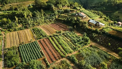Aerial view of a vibrant farm with diverse crops and a rustic house surrounded by lush greenery