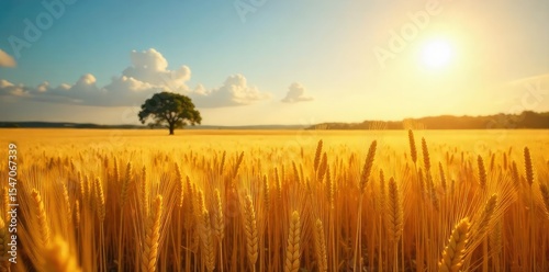 Golden wheat field shimmering under a summer sun, swaying gently in the breeze A picturesque landscape of rural serenity and agricultural abundance , natural, ear, summer