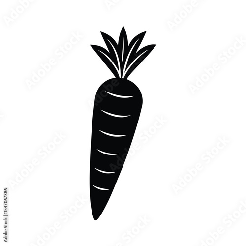 carrot vector illustration