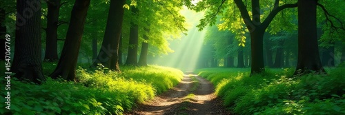 Serene path meandering through lush green forest, sunlight dappling leaves, creating magical atmosphere Tranquil nature scene perfect for relaxation and escape , vibrant, green