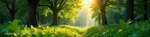 Sunlight dapples through the leaves in a lush, vibrant forest park Perfect for nature, tranquility, and environmental themes Ideal for websites, blogs, and publications , summer, ecology, lush
