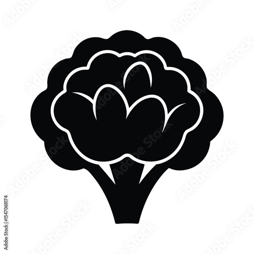 Cauliflower vector silhouette illustration isolated on white background