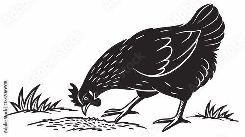 High contrast black silhouette of a chicken pecking the ground on transparent or isolated white background



