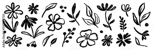 Flower brush hand drawn vector set. Hand drawn doodle flower, floral leaf elements in brush stroke ink style. Simple abstract botanical silhouette set for nature black paint art. Vector illustration