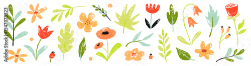 Flower spring vector garden cute element set. Hand drawn pastel flower, leaf, wildflower daisy cute elements with crayon chalk texture. Doodle garden floral plant kid background. Vector illustration