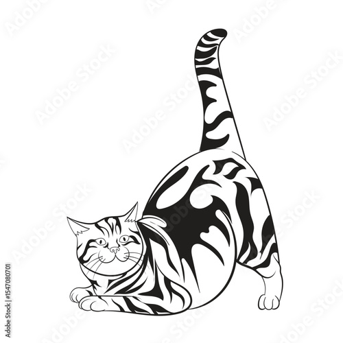 Detailed vector illustration of a black and white tabby cat stretching with raised tail. Ideal for print, coloring books, pet-themed designs, and minimalist animal artwork with an elegant pose.