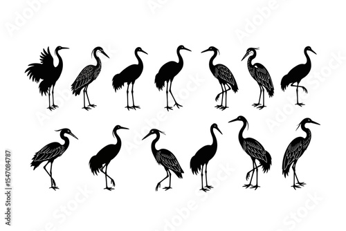 Standing Bird Silhouettes in Black and White Vector
