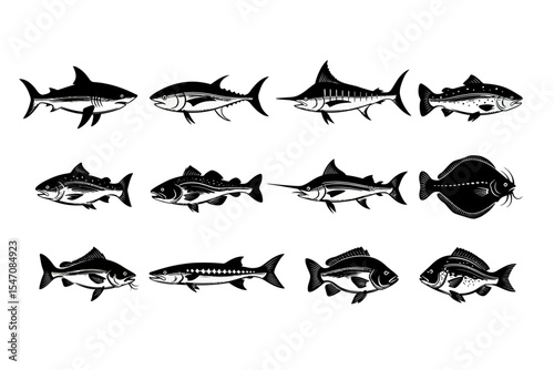 Fish Collection Various Types in Black and White Vector