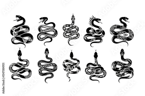 Coiled Snake Illustrations with Tribal Patterns Set against White