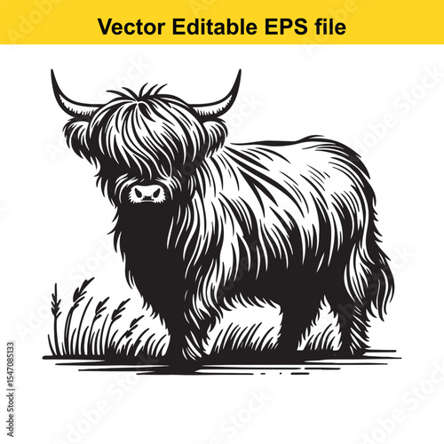 Majestic Highland Cattle Illustration A Black and White Vector Image Showcasing Scottish Breed's Shaggy Coat