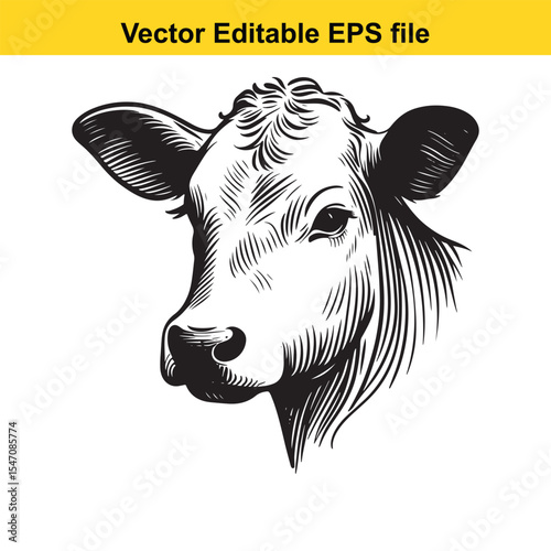 Monochrome Vector Illustration of a Cow Head Detailed Black and White Farm Animal Drawing Bovine Livestock Artwork