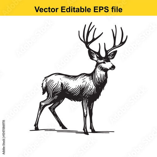 Monochrome Illustration of a Majestic Deer Standing Tall in a Forest Clearing with Detailed Antlers and Fur