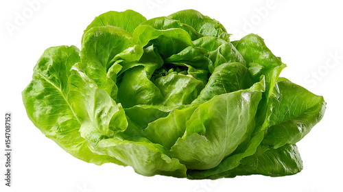 Wallpaper Mural green lettuce isolated on white background Torontodigital.ca